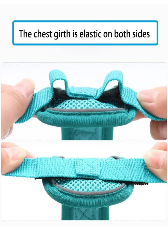 Shopurb Dog Harness No Pull, Walking Pet Harness with 2 Metal Rings and Handle Adjustable Reflective Breathable Oxford Soft Vest Easy Control Front Clip for Small Dogs and Puppy - Image 5